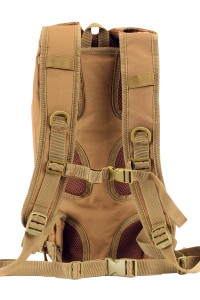 The Expandable Hydration Pack in Coyote
